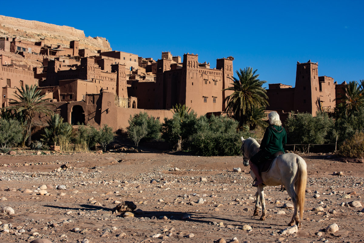 Moroccan Institutional Websites