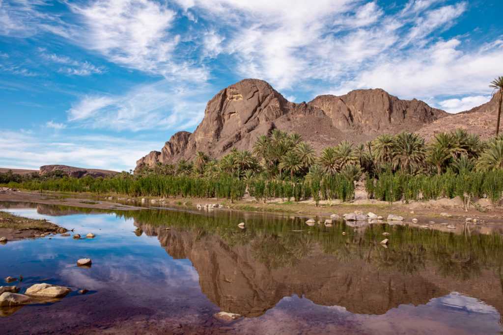 Oasis of Fint, a stunning green scenery | Visit Drâa Tafilalet